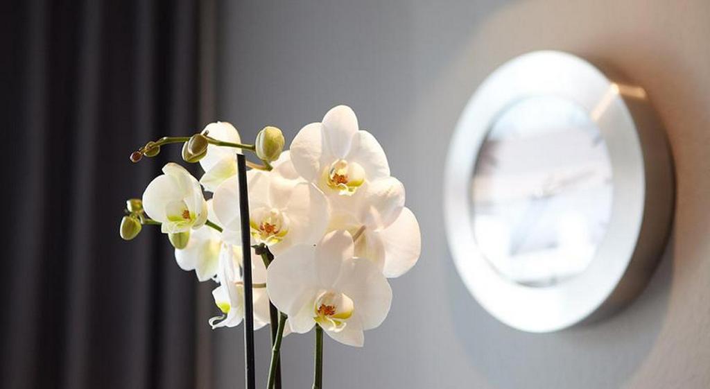 Hotel Waldblick Deppe ลิพพ์ชตัดท์ ภายนอก รูปภาพ